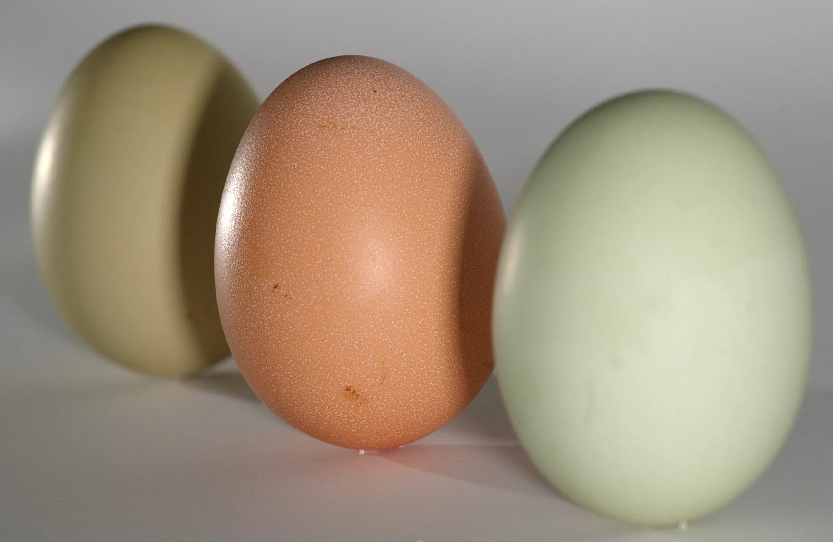 Two olive-green eggs either side of a brown one, showing the range an Olive Egger flock produces